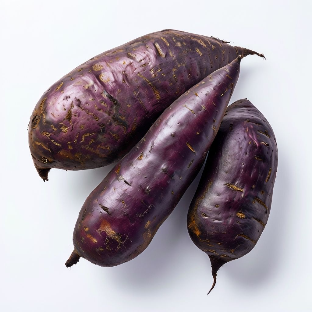 Dark Purple Sweet Potato Vegetable Seeds for Planting – Non-GMO, Heirloom Seeds for a Healthy Harvest